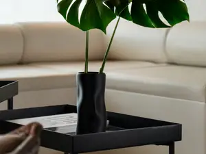 Elegant vase with an organic shape