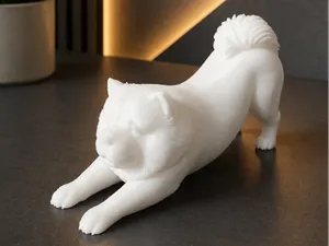 Stretching Chow Chow