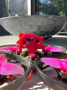 Canopy whoop (Mobula 8)