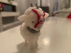 T Ocellus Sheep