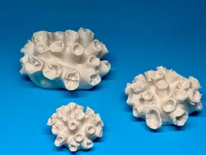 Coral #10 in 3 sizes