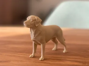 Dog - Labrador Retriever - Faithful Companion