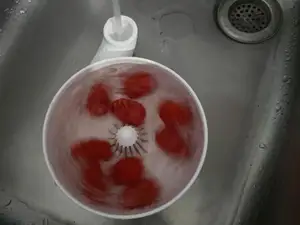 vegetable whirlpool washer turbo