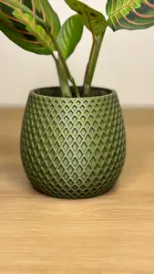 Spiral flower pot
