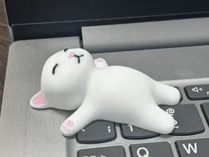 Sleepy Cat