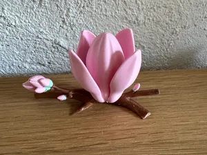 Magnolienzweig farbig