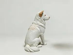 中华田园犬坐姿