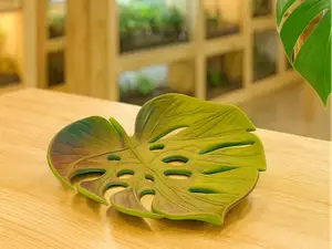 Monstera Schale