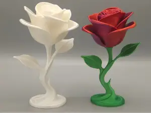 Eternal Rose