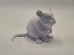Sitting Rat – Realistic Rodent Model