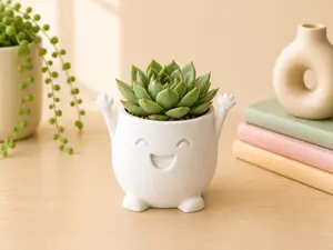 Mood Buddies Pot – Planter Collection | Yay Hurra!