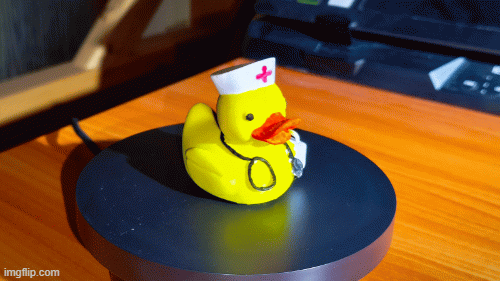 nurse duck