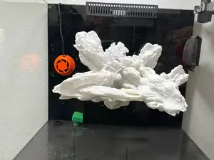 Flying Reef