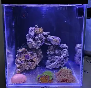 桌面海缸、背滤鱼缸、微缸