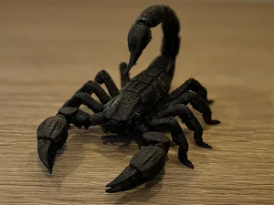 Cyber Scorpion