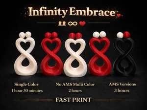 Infinity Embrace - Fast Print, Single Color&No AMS