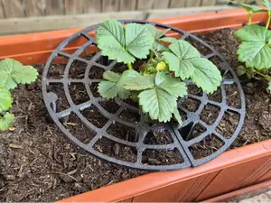 Parametric Strawberry Support/Holder