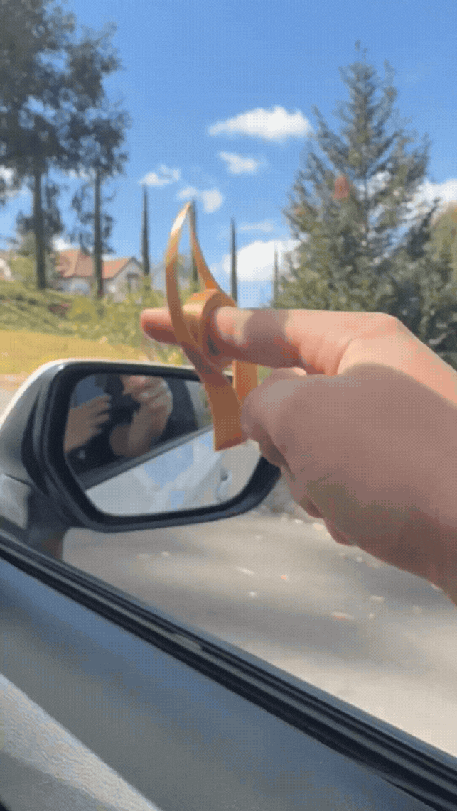 Duel Wind Blade