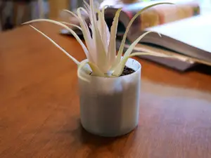 Simple Pot With Drainage Hole