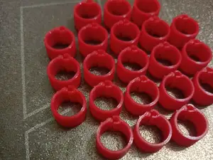 ring of pigeons
