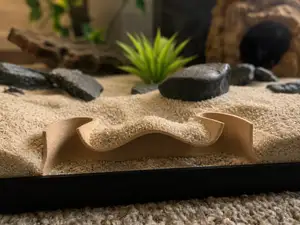 Aquarium Tunnel Cave