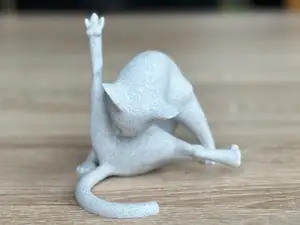 Funny cat pose
