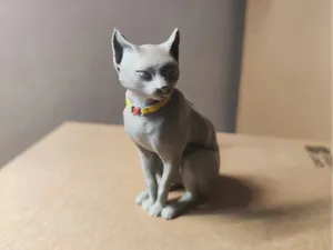 端坐的小猫
