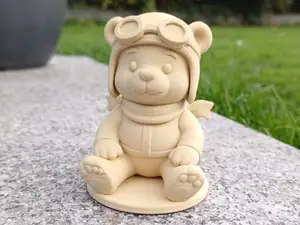 Teddy Bear Pilot