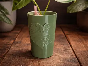 Vase / Pflanztopf mit Alocasia Serendipity-Design