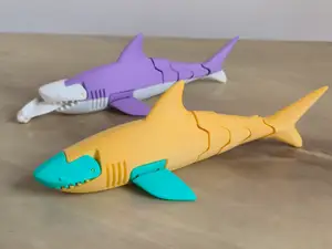 shark 鲨鱼