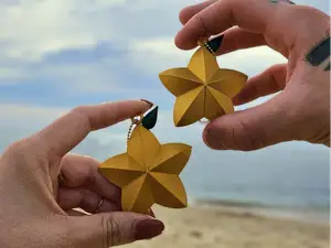 Paopu fruit