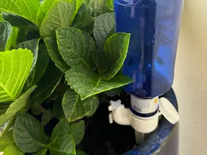 Automatic Watering Adapter for PET Water Bottles