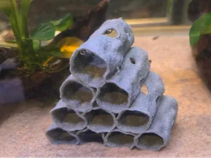 Fish/shrimp hide