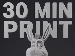 donkey 30 min print