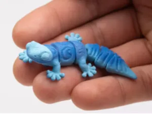 iguana