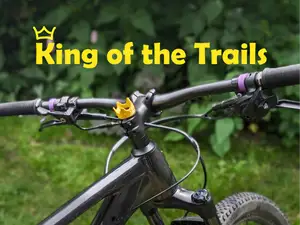 Crown Top Cap - For all bikes