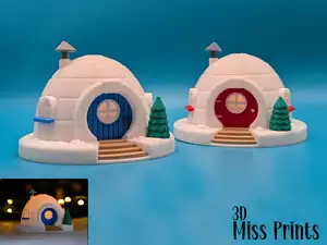 Igloo Village House
