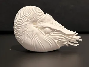 Nautilus - Marine Fish Series