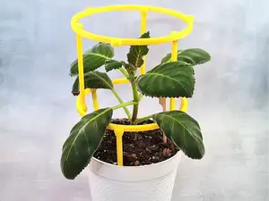 Plant Support Ring - Stackable and Customizable