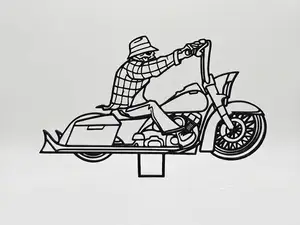 The Lone Rider