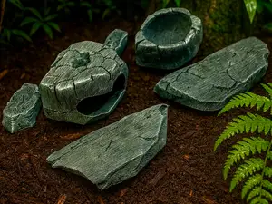 Jumping Spider Starter Kit - Stone 