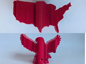 Dual View: Eagle & USA Shape