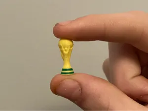 Worlds Smallest Fifa World Cup