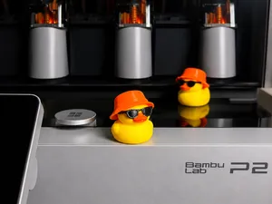 Summer Duck with Hidden feet