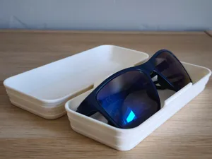 Print-in-Place Glasses Case Latched & Support-Free