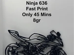 Kawasaki Ninja 636 Silhouette