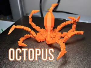 octopus