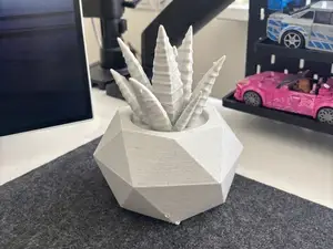 Geometric Aloe Planter | Modern Desk Succulent