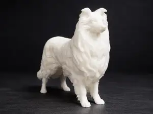 Rough Collie