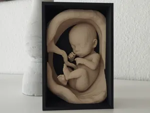 Book Nook "Unborn"